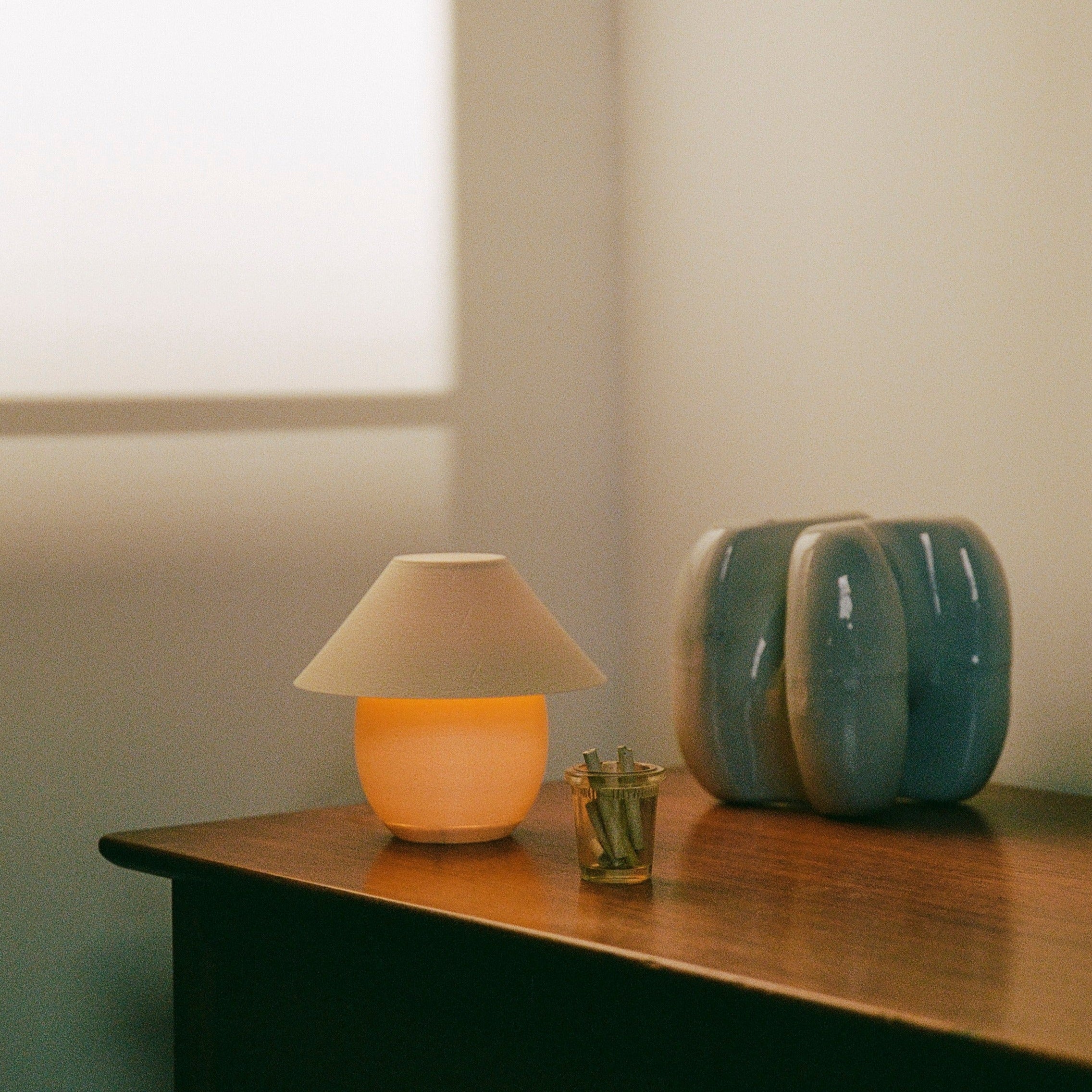 Lamp, vase, and small plant on a wooden surface with a neutral background
