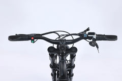 DRIFT.SLIDE J2 Electric Bike – 250W Motor, 16 inch Tires, 25 km/h Family Shopolf