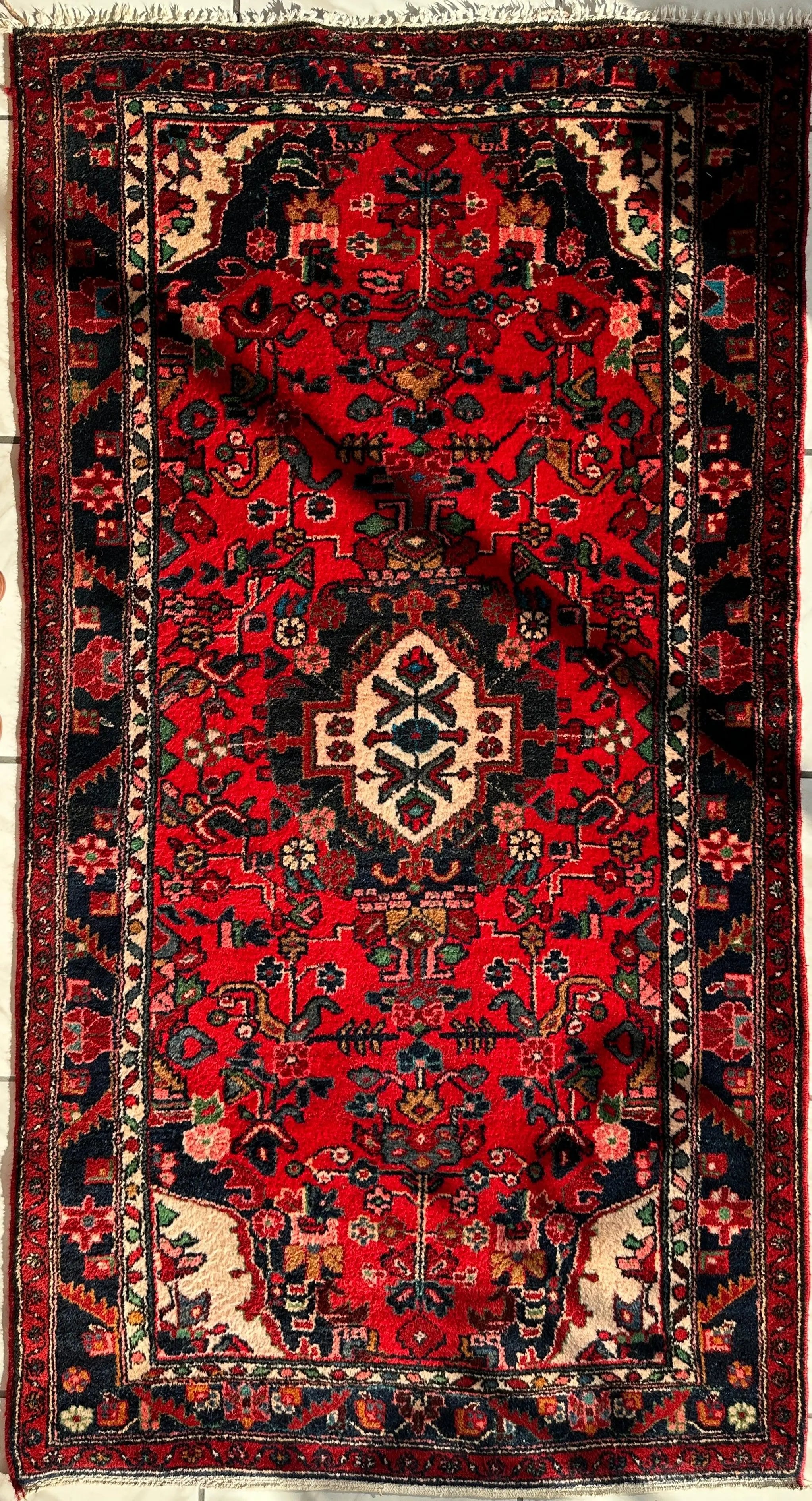 Hand-knotted Persian Hamadan wool Rug 3’8” x 6’4” Rugistan