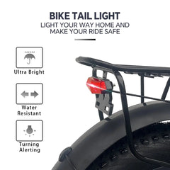 At20 Eletric Fat Bike 10AH/15AH/20AH 48V 750W Up To 45km/h