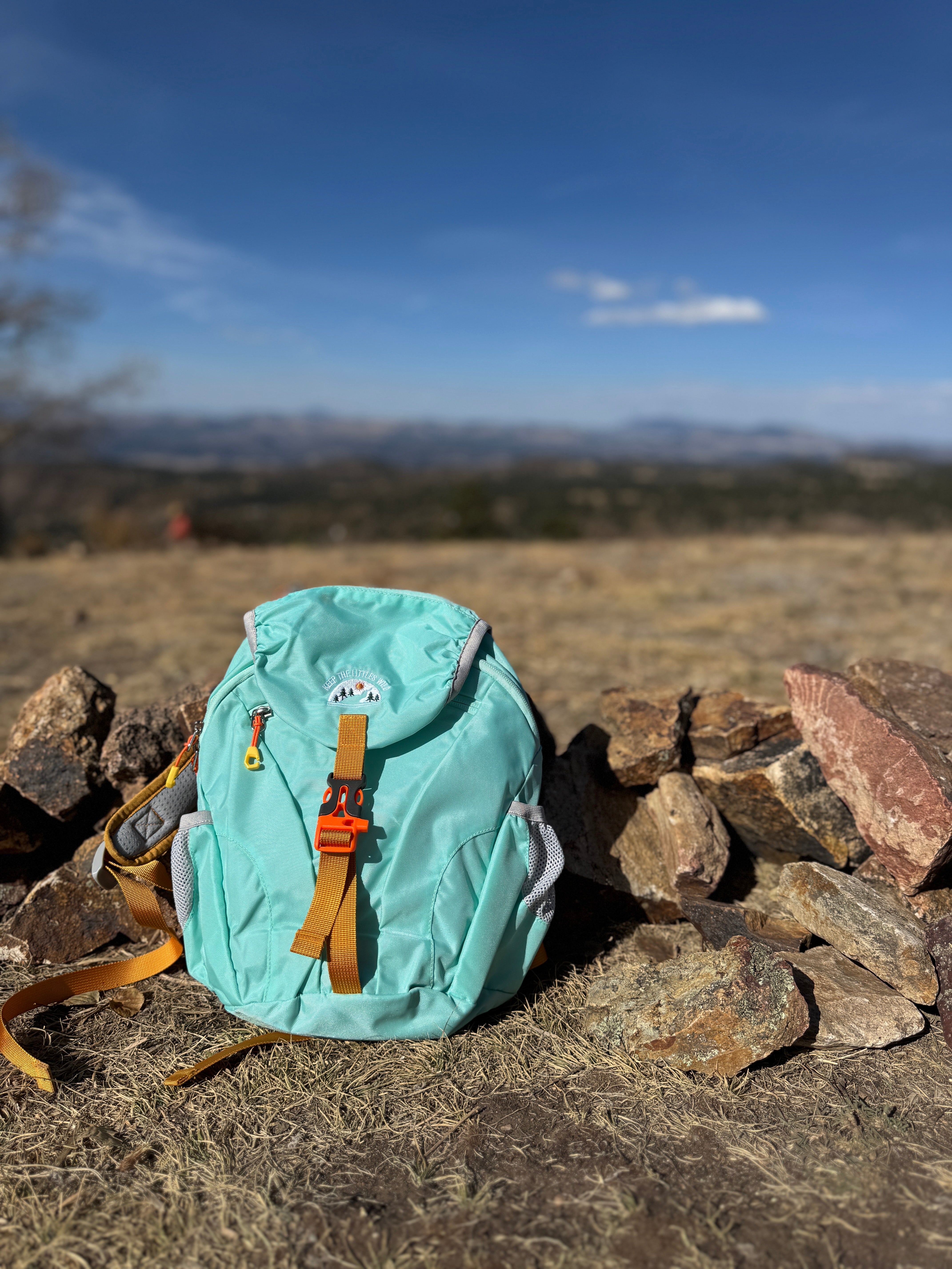 Teal backpack with orange straps on a rocky outcrop with a scenic background