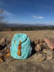 Teal backpack with orange straps on a rocky outcrop with a scenic background