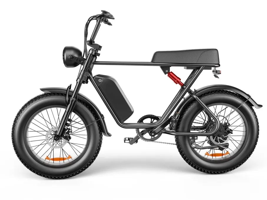 C91 20 inch - 1000W Fat Tire Electric Bike – 20Ah Battery Family Shopolf