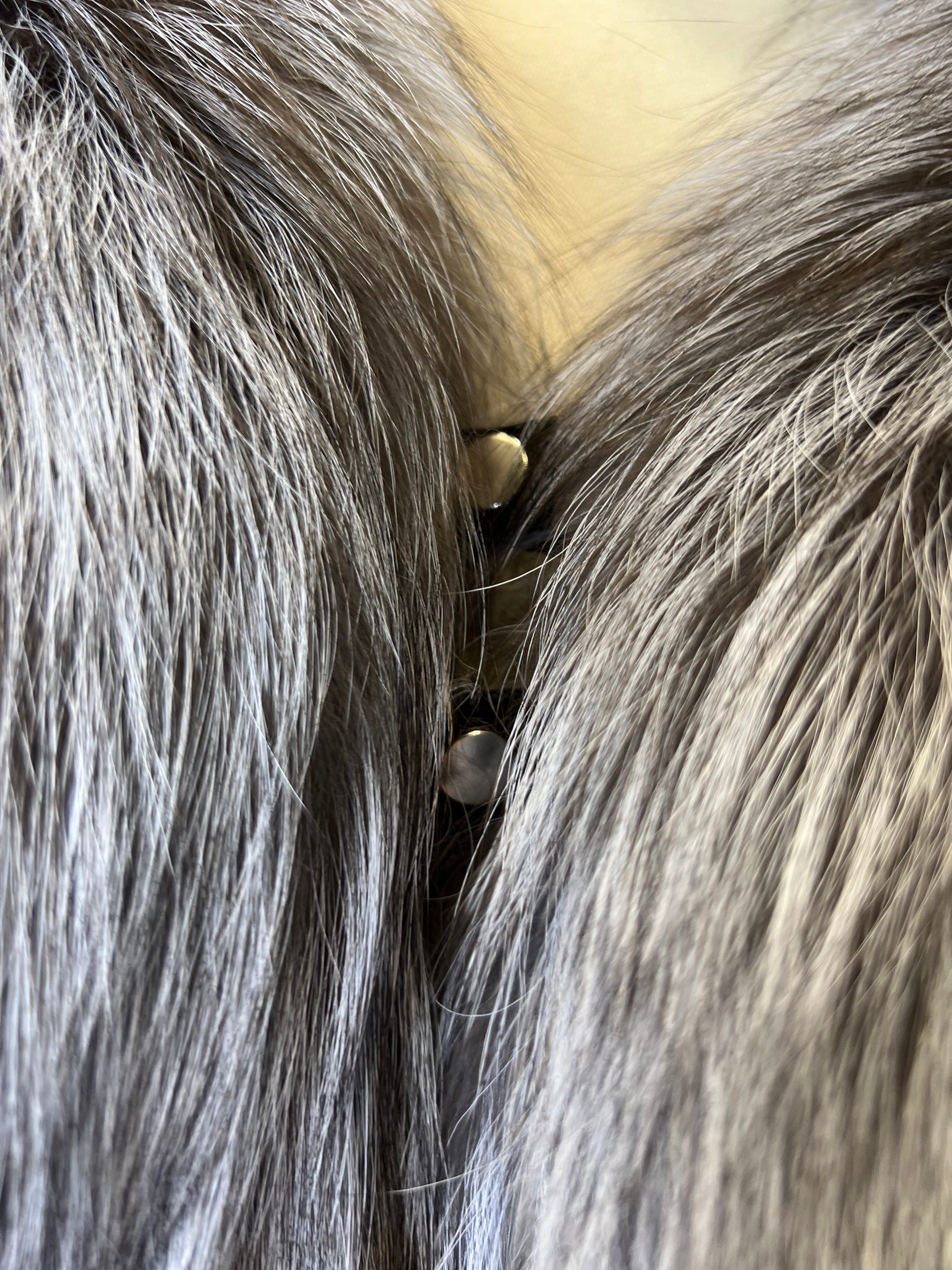 Genuine Silver Fox Fully Lined Hood Rabbit Insulated Parka Alaska® Outerwear Company