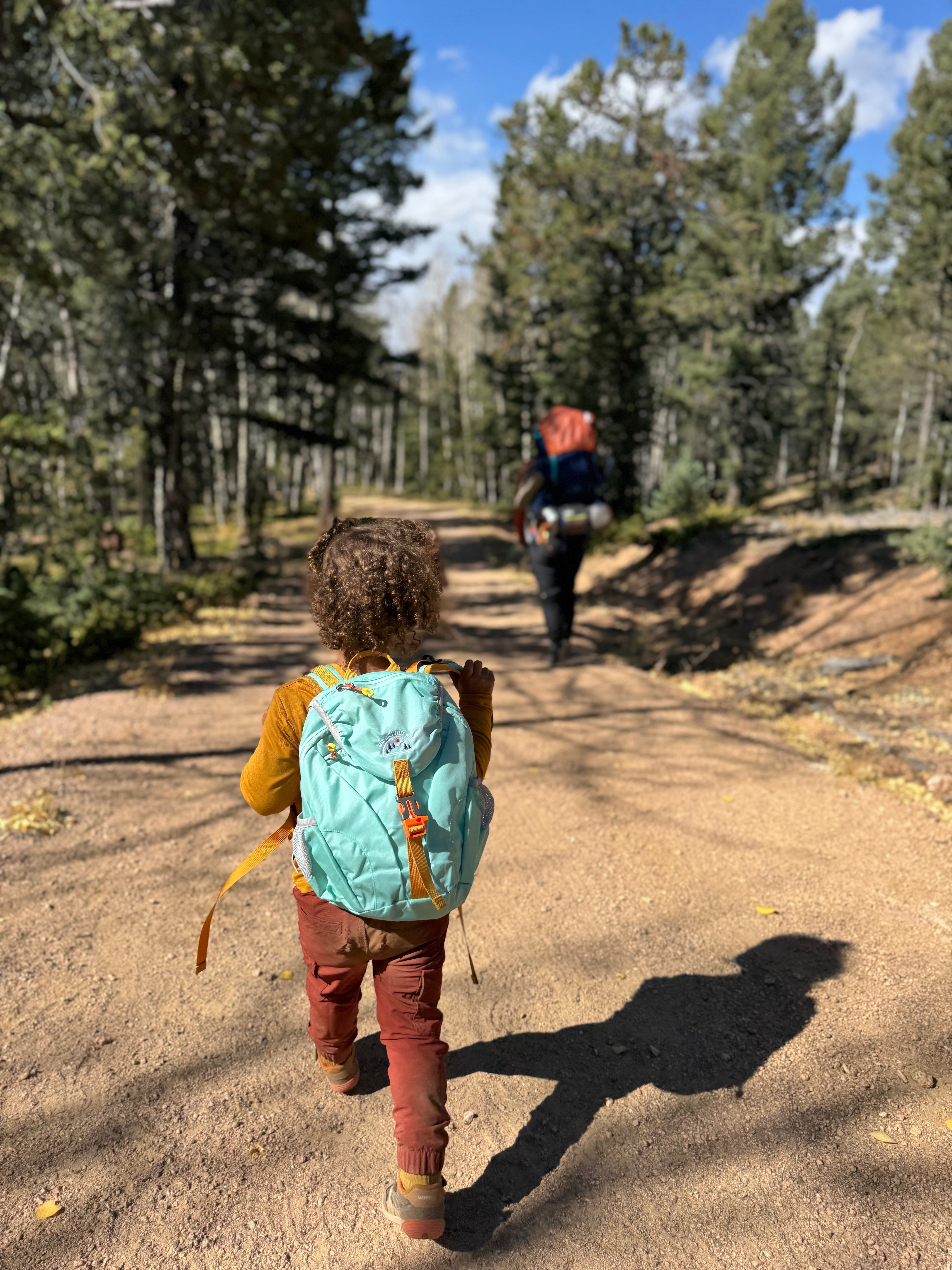 Two children with backpacks walking on a dirt path through a forest.