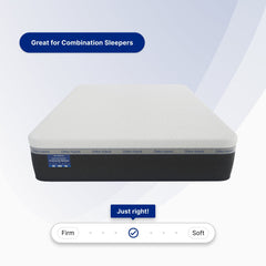Ortho Hybrid mattress with labeled firmness options on a light blue background