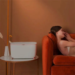 Car Refrigerator For Storing Cosmetics Family Shopolf