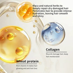 Collagen Hair Mask Nuts Oil Hair Conditioner Family Shopolf