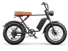 C91 20 inch - 1000W Fat Tire Electric Bike – 20Ah Battery Family Shopolf