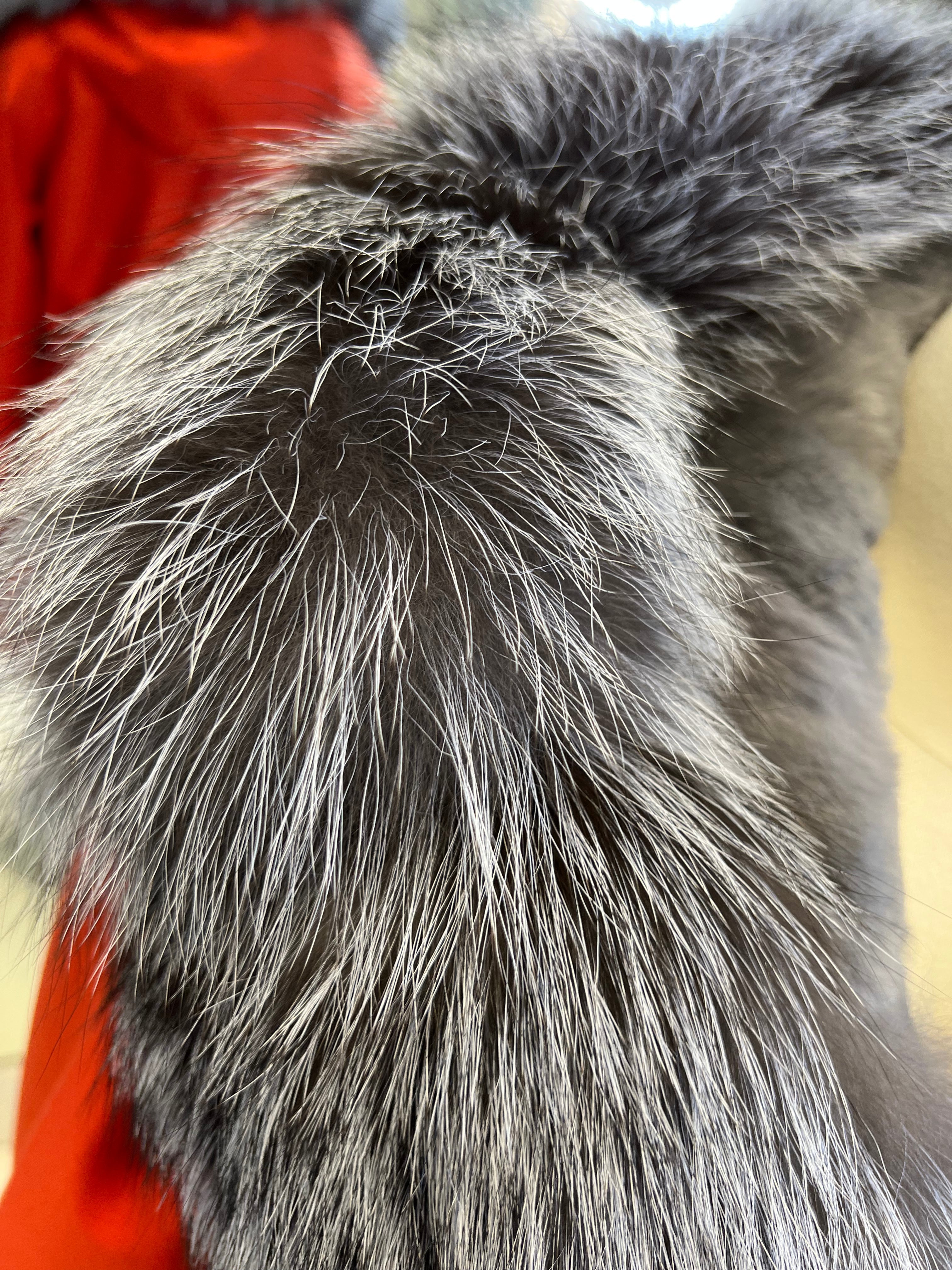 Genuine Silver Fox Fur Rabbit Fur Insulated Parka Alaska® Outerwear Company