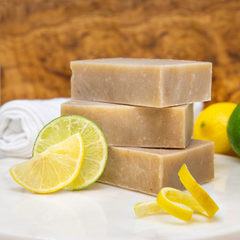Citrus Coconut Shampoo Bar Poofy Organics