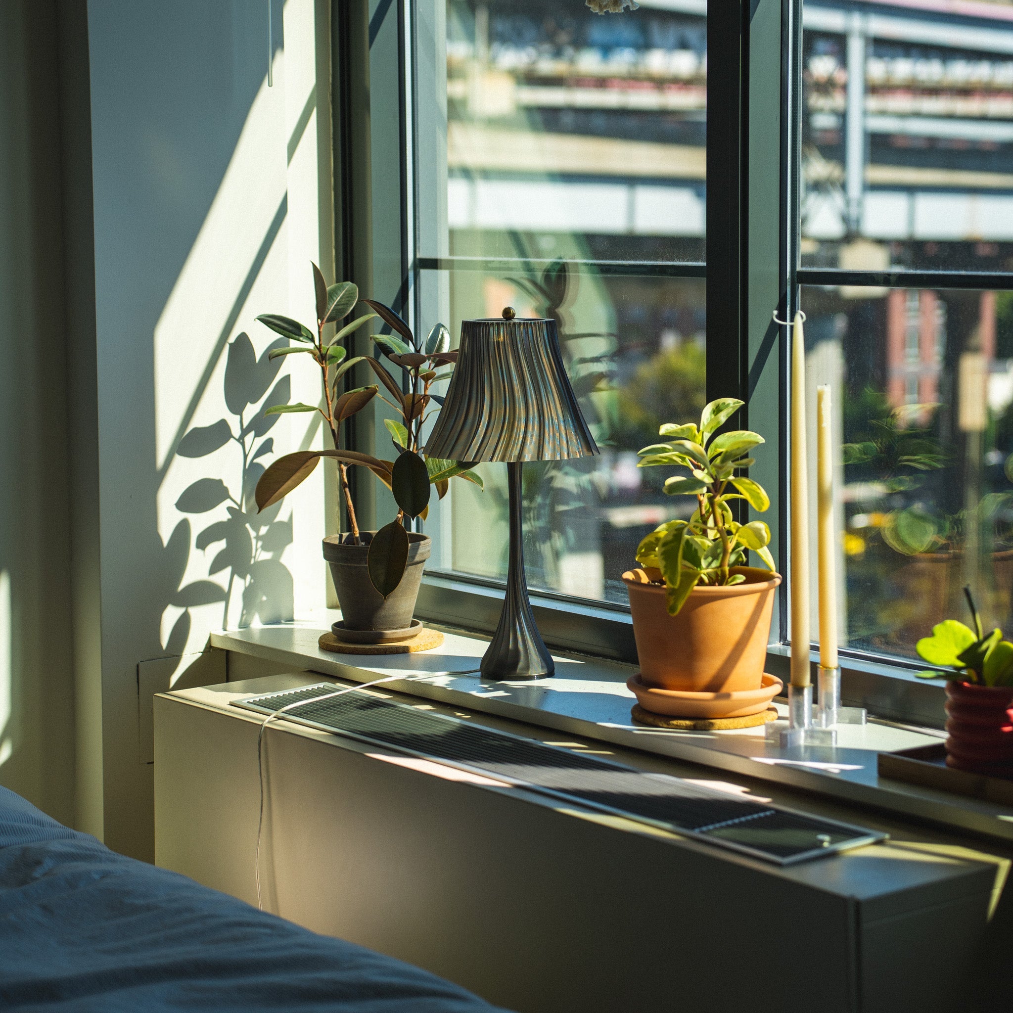 Sunlit room with plants and a lamp on a windowsill