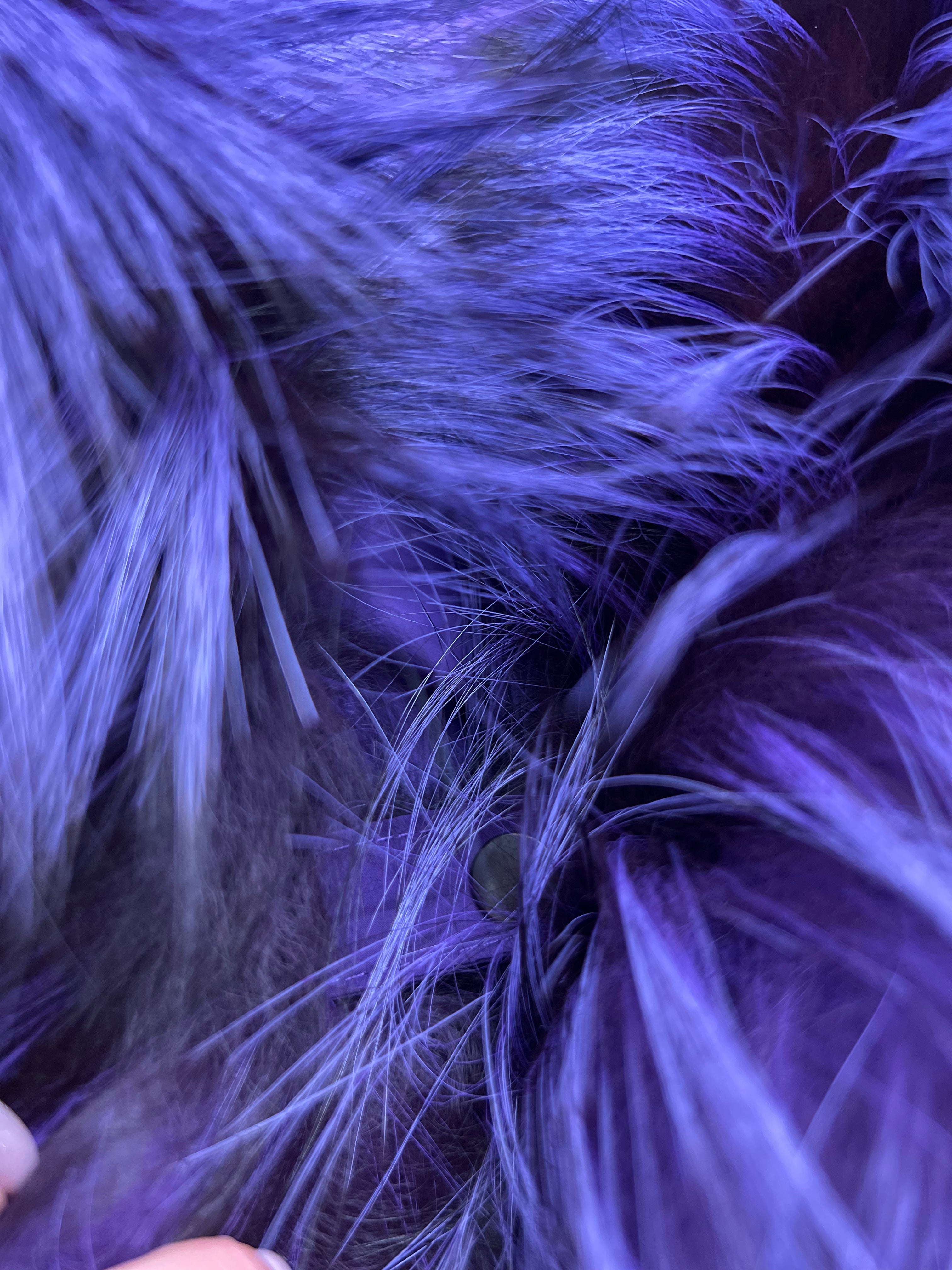 Genuine Silver Fox Fur Down Fill Parka Alaska® Outerwear Company