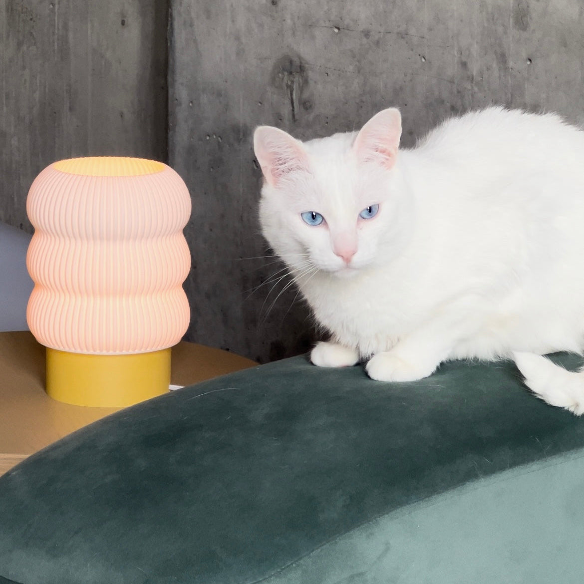 White cat with blue eyes sitting on a green surface next to a pink and yellow textured vase.