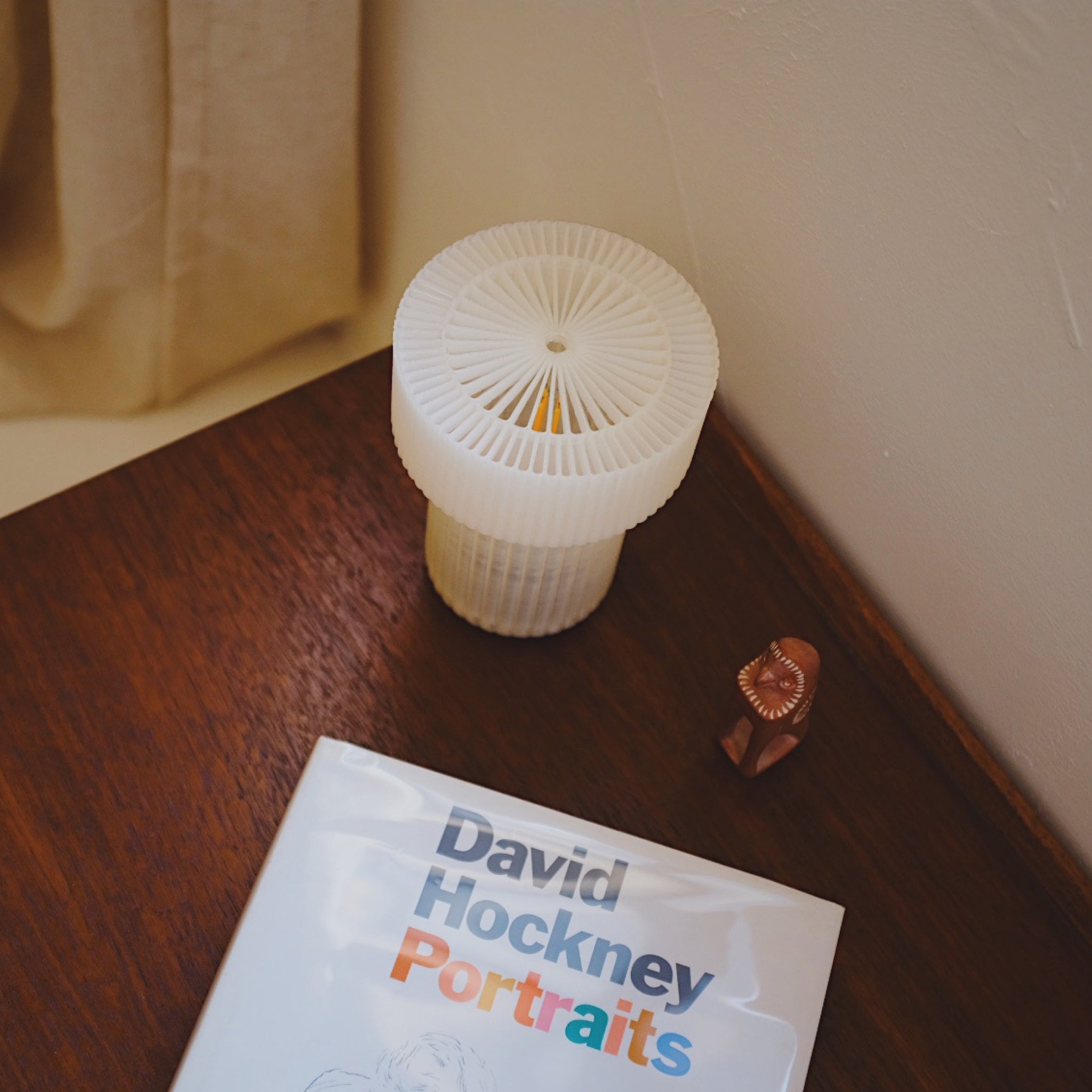 White textured object on a wooden surface with a book titled 'David Hockney Portraits' in the foreground.