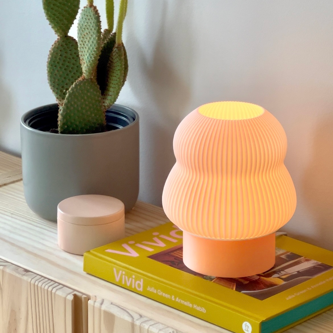Orange textured lamp on a book with a cactus plant in the background