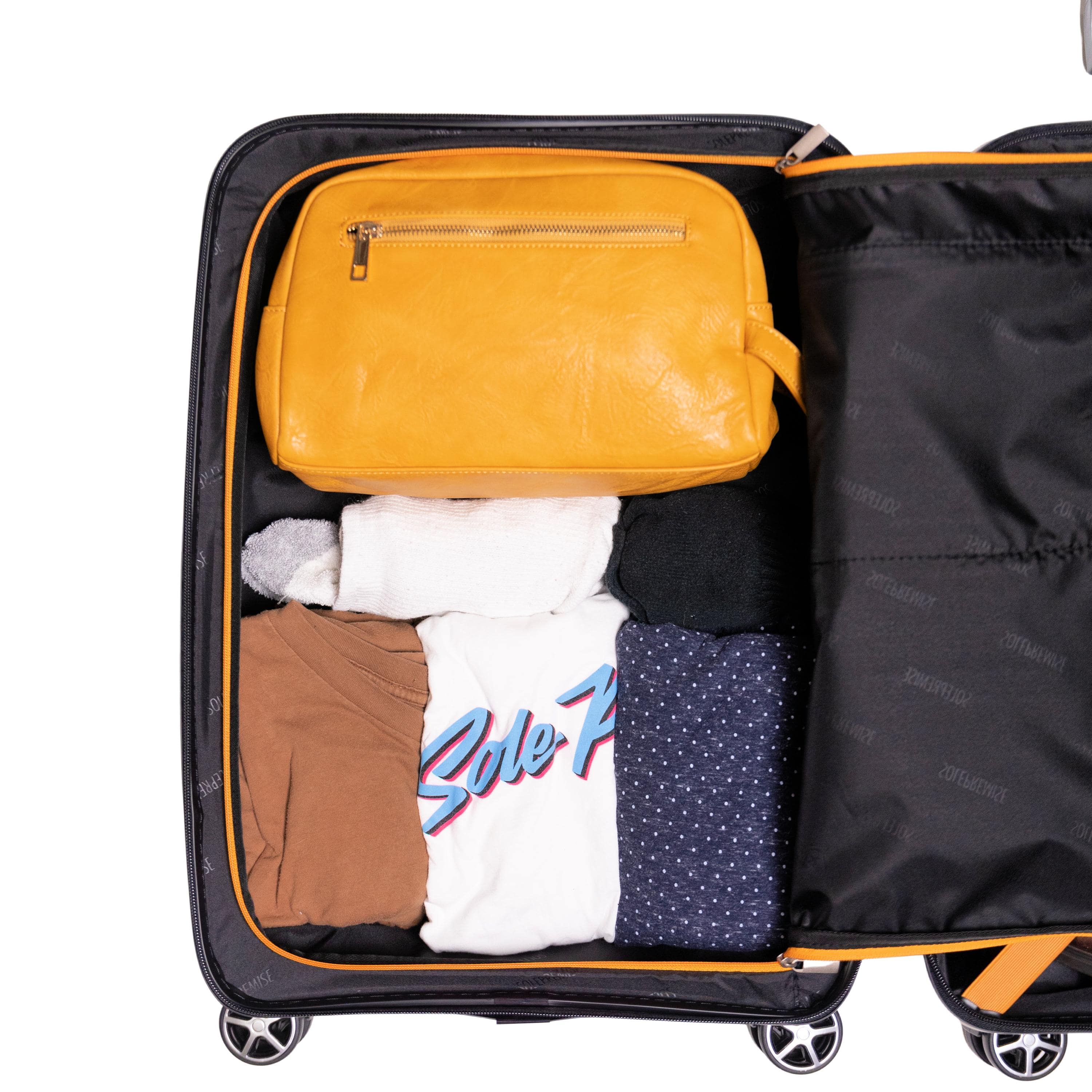 20-inch Black Carry-On Hardcase Roller Luggage with 360° Wheels Sole Premise