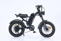 DRIFT.SLIDE J2 Electric Bike – 250W Motor, 16 inch Tires, 25 km/h Family Shopolf