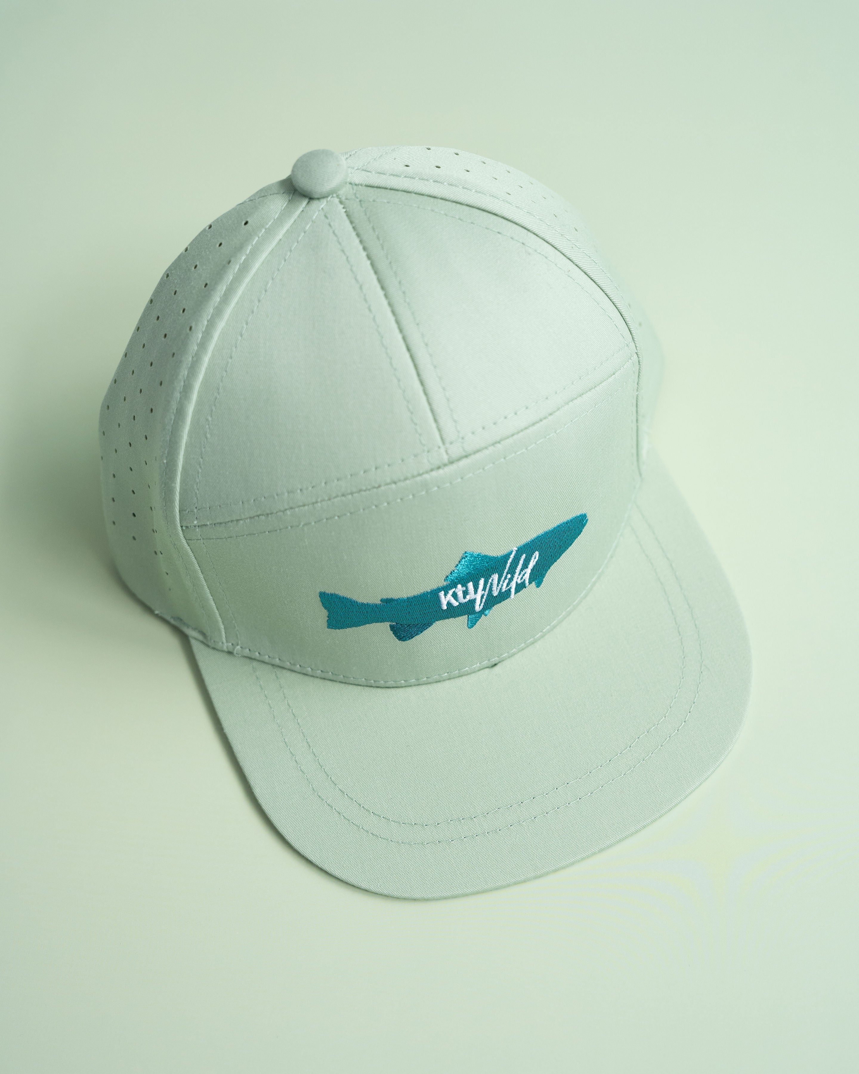 Light blue cap with a logo on a light green background