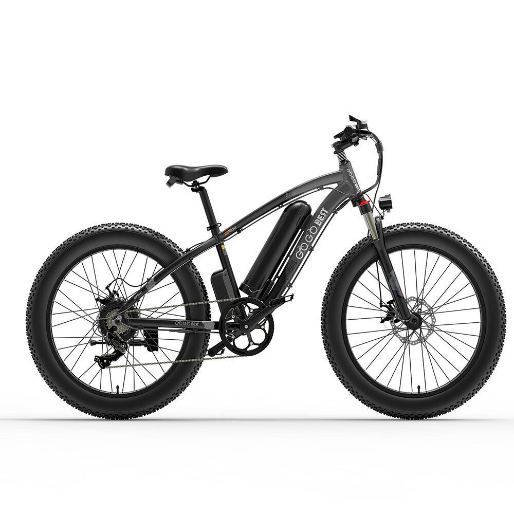 GF600 Electric Bicycle