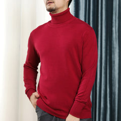 Men's Loose Knit Long Sleeve Solid Sweater