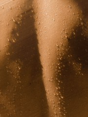 Close-up of a textured brown surface with a shadow