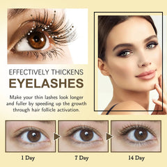 Mascara Gentle Family Shopolf
