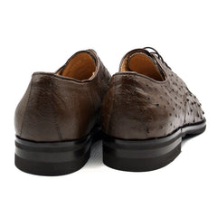 23-538-BRN ANDREA Ostrich Quill Lace Up, Brown