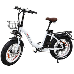 CT20 Electric Bike | 750W Motor | Foldable Fat Tire E-Bike