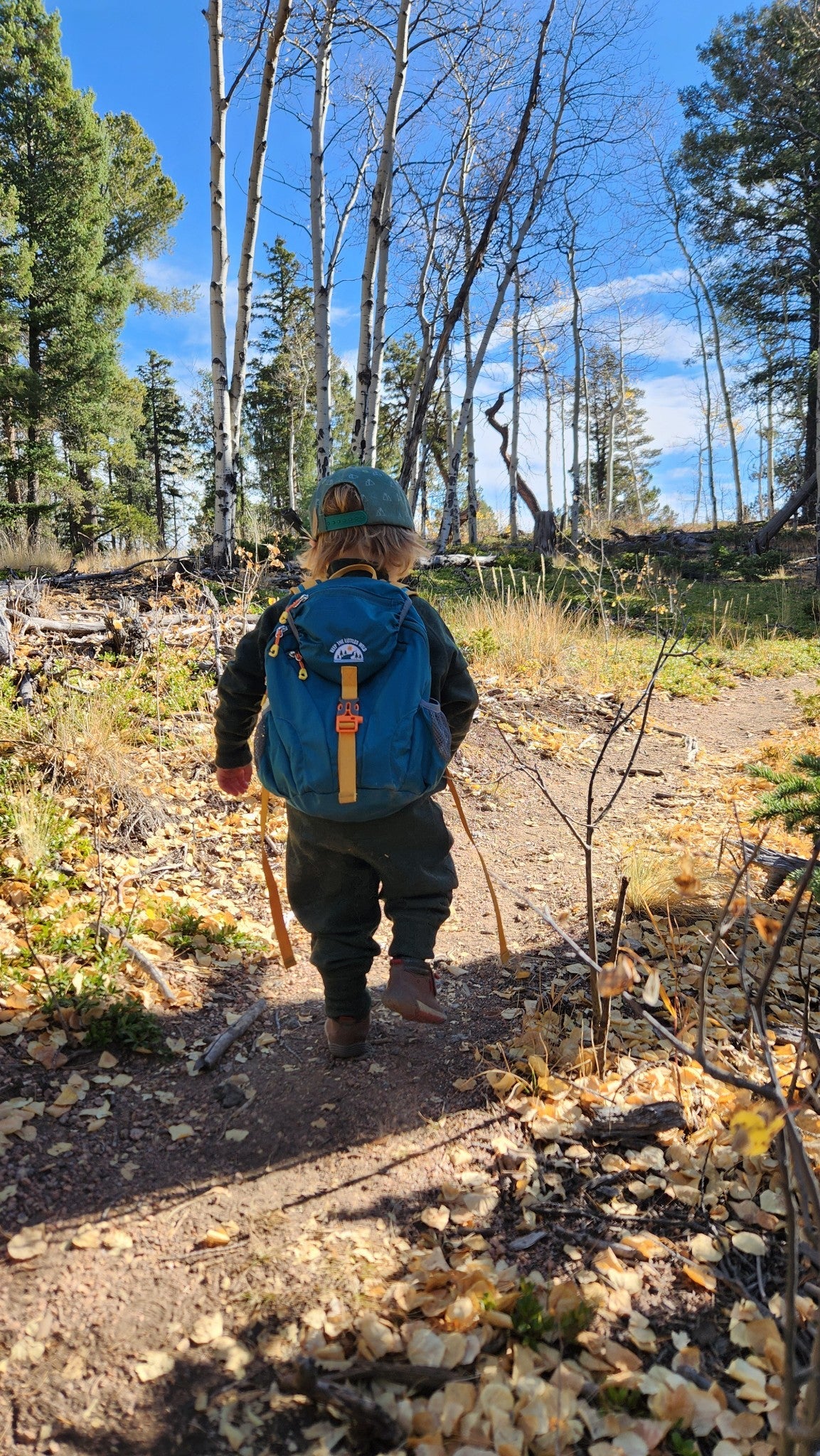 Kid’s (Ages 2 to 7) Teal Hiking Pack - Water Bladder System Backpack for Young Hikers
