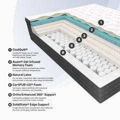Cross-sectional view of a mattress with labeled layers and features.