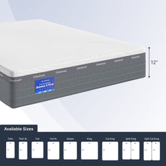 Mattress with OrthoAvant branding and size chart below on a light blue background
