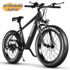 Professional Electric Bike