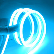 NeonFlexPro: Illuminating Innovation