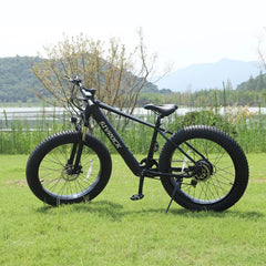 SIVROCK V1 Electric Bike with Fat Tires and LCD Display


