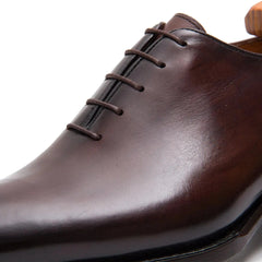 Close-up of a brown leather shoe with laces on a white background
