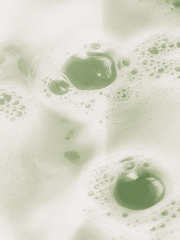 Hand & Body Wash Ginger & Cardamom | BYMANYC ® New York Vegan