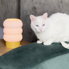 White cat with blue eyes sitting on a green surface next to a pink and yellow textured vase.