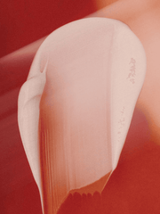 Close-up of a beige bra on a red background