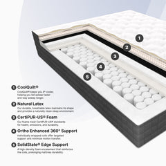 Cross-section of a mattress with labeled layers on a light gray background