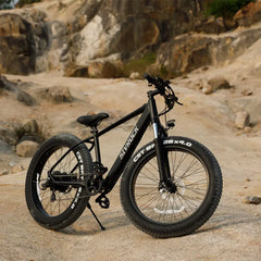 SIVROCK V1 Electric Bike with Fat Tires and LCD Display

