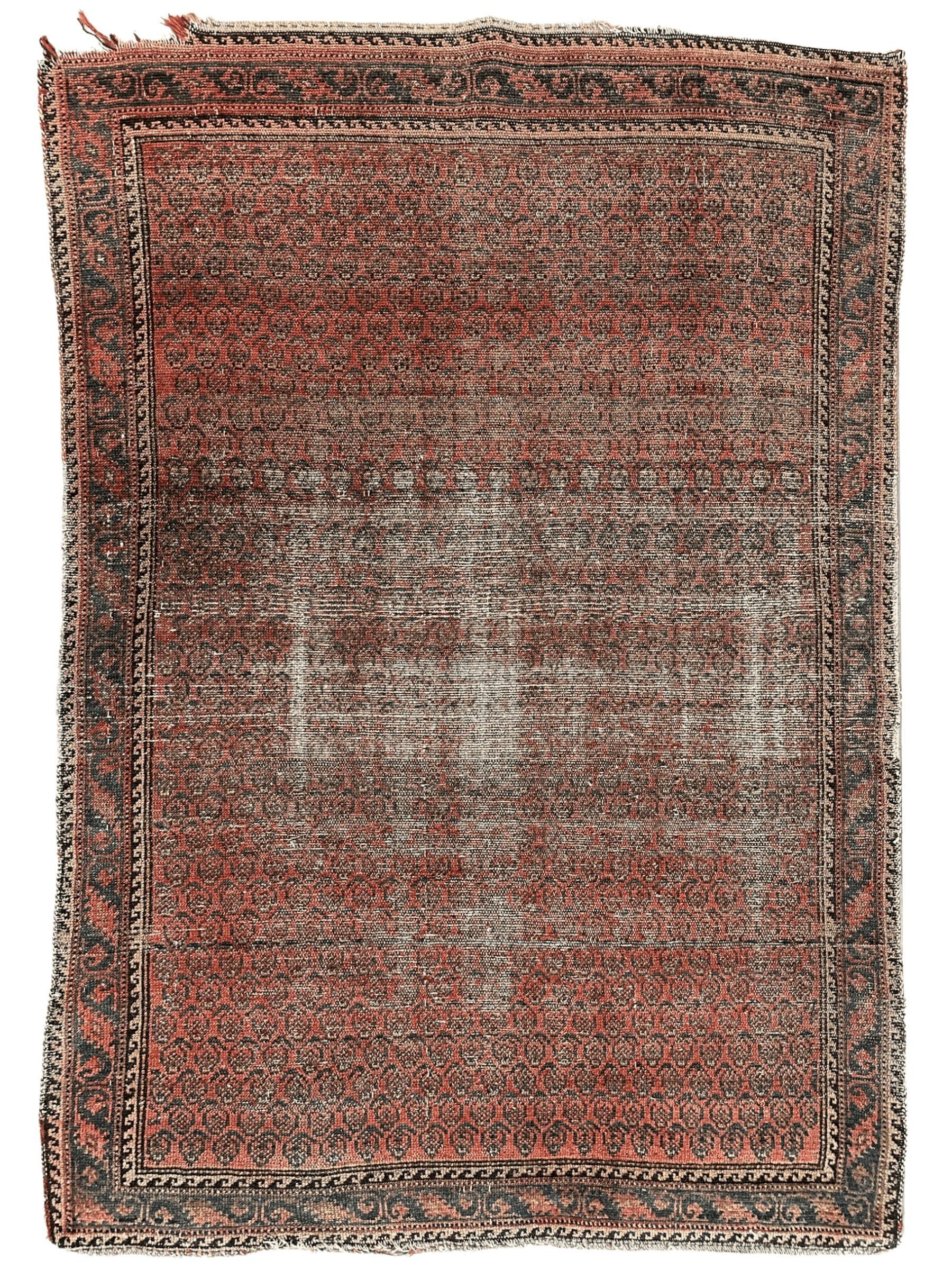 Distressed Persian Paisley Rug 3’8” x 5’2” Rugistan