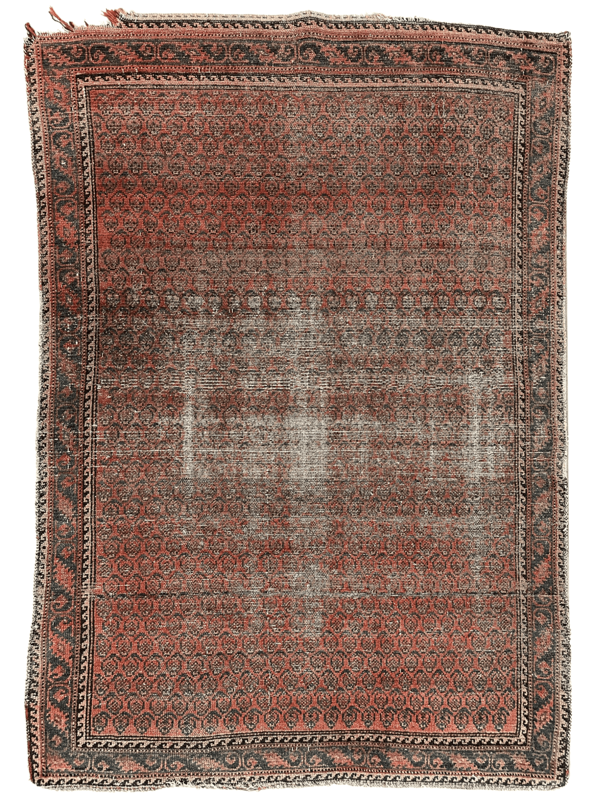 Distressed Persian Paisley Rug 3’8” x 5’2” Rugistan