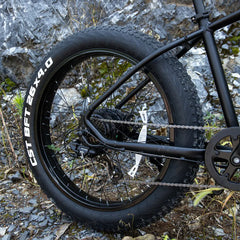 SIVROCK V1 Electric Bike with Fat Tires and LCD Display

