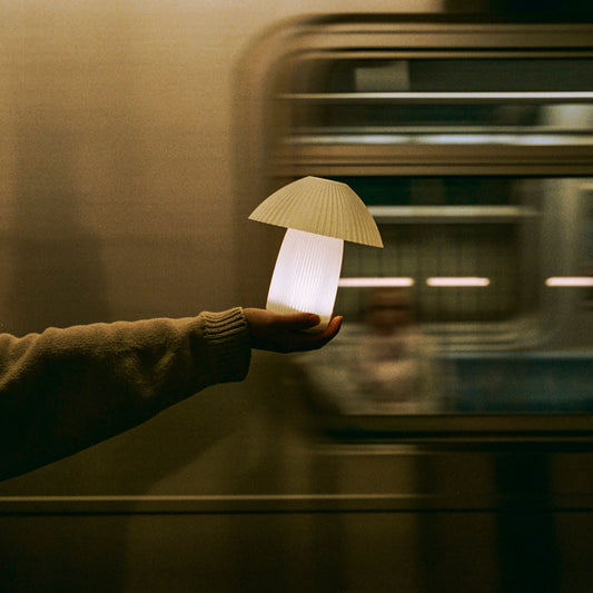 Person holding a mushroom-shaped light in a train setting