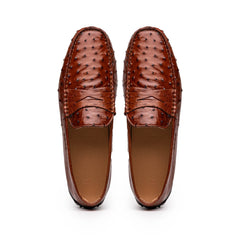 33-100-BDY MONZA Ostrich Quill Driver, Brandy