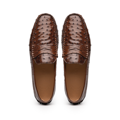 33-100-BRN MONZA Ostrich Quill Driver, Brown